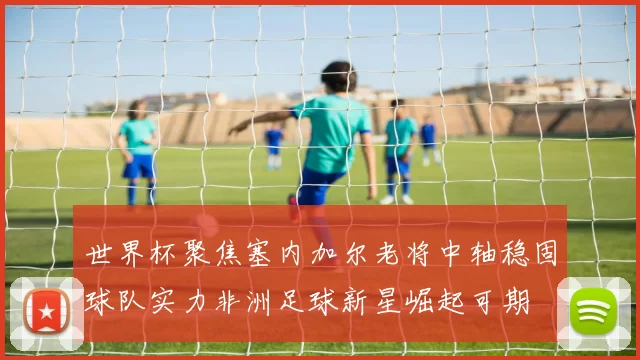 世界杯聚焦塞内加尔老将中轴稳固球队实力非洲足球新星崛起可期